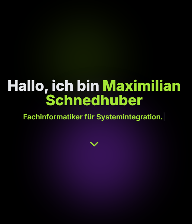 Website Maximilian Schnedhuber
